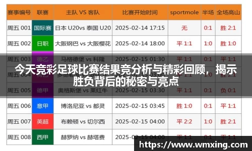 今天竞彩足球比赛结果竞分析与精彩回顾，揭示胜负背后的秘密与亮点