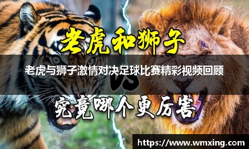 老虎与狮子激情对决足球比赛精彩视频回顾