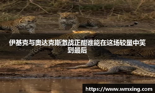 金年会官网